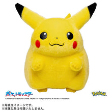 Load image into Gallery viewer, PRE-ORDER 1/1 Scale Come Back Pikachu Plush Asia Version Pokemon 30th Anniversary