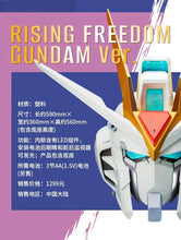Load image into Gallery viewer, PRE-ORDER BN HEAD COLLECTION Rising Freedom Gundam Ver. Mobile Suit Gundam SEED Freedom