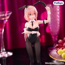 Load image into Gallery viewer, PRE-ORDER BiCute Bunnies Figure Komaro Michinoku There Is Also a Hole in the Student Organization!