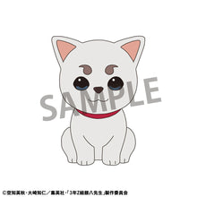 Load image into Gallery viewer, PRE-ORDER Chokorin Mr. Ginpachi's Zany Class Vol.1 set
