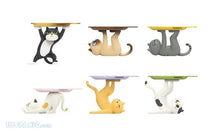 Load image into Gallery viewer, PRE-ORDER Ennoshita No Neko (Set Of 6)