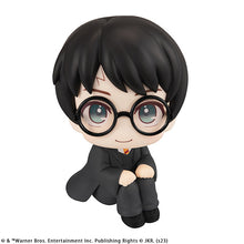 Load image into Gallery viewer, PRE-ORDER Harry Potter Lookup Harry Potter