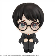 Load image into Gallery viewer, PRE-ORDER Harry Potter Lookup Harry Potter