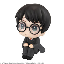Load image into Gallery viewer, PRE-ORDER Harry Potter Lookup Harry Potter