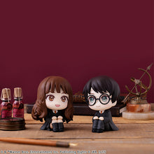 Load image into Gallery viewer, PRE-ORDER Harry Potter Lookup Harry Potter
