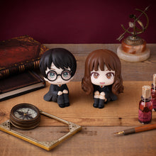 Load image into Gallery viewer, PRE-ORDER Harry Potter & Hermione Granger Lookup Harry Potter with Gift