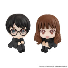 Load image into Gallery viewer, PRE-ORDER Harry Potter & Hermione Granger Lookup Harry Potter with Gift
