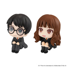 Load image into Gallery viewer, PRE-ORDER Harry Potter & Hermione Granger Lookup Harry Potter with Gift