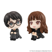 Load image into Gallery viewer, PRE-ORDER Harry Potter & Hermione Granger Lookup Harry Potter with Gift