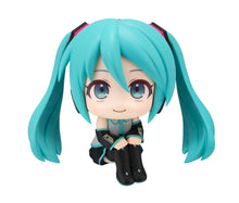 Load image into Gallery viewer, PRE-ORDER Lookup Hatsune Miku & Meiko (with gift)