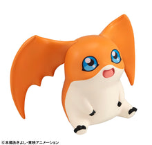 Load image into Gallery viewer, PRE-ORDER Lookup Patamon (repeat) Digimon Adventure
