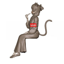 Load image into Gallery viewer, PRE-ORDER Maomao The Apothecary Diaries