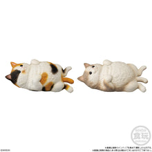 Load image into Gallery viewer, PRE-ORDER Mocchiri Kororin Cat Box of 12