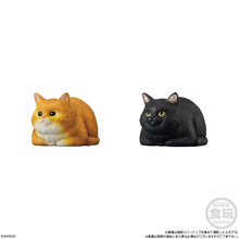 Load image into Gallery viewer, PRE-ORDER Mocchiri Kororin Cat Box of 12