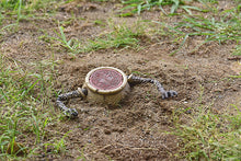 Load image into Gallery viewer, PRE-ORDER Nendoroid Alexander Elden Ring