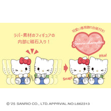 Load image into Gallery viewer, PRE-ORDER Pita Cute Sanrio Characters Box of 4