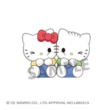 Load image into Gallery viewer, PRE-ORDER Pita Cute Sanrio Characters Box of 4
