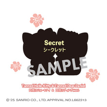 Load image into Gallery viewer, PRE-ORDER Pita Cute Sanrio Characters Box of 4
