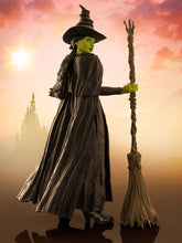 Load image into Gallery viewer, PRE-ORDER S.H.Figuarts Elphaba Wicked