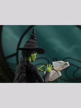 Load image into Gallery viewer, PRE-ORDER S.H.Figuarts Elphaba Wicked