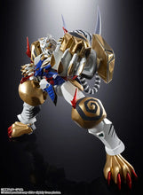 Load image into Gallery viewer, PRE-ORDER SOUL OF CHOGOKIN Ryukooh & Koryuoh Super Robot Wars