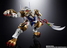 Load image into Gallery viewer, PRE-ORDER SOUL OF CHOGOKIN Ryukooh & Koryuoh Super Robot Wars