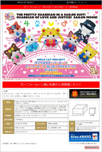Load image into Gallery viewer, PRE-ORDER Sailor Mewn: In the name of the moon I will punish meow!: 2024 Ver. Pretty Guardian Sailor Moon