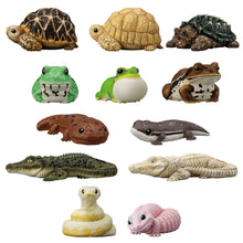 Load image into Gallery viewer, PRE-ORDER Tenori Friends Reptiles and Amphibians Box of 12