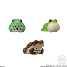 Load image into Gallery viewer, PRE-ORDER Tenori Friends Reptiles and Amphibians Box of 12