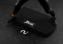 Load image into Gallery viewer, PRE-ORDER Ultimate Article Kamen Rider Black