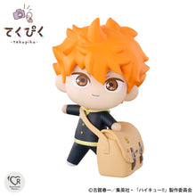 Load image into Gallery viewer, PRE-ORDER tekupiku Shoyo Hinata Haikyu!
