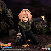 Load image into Gallery viewer, PRE-ORDER Sakura Haruno Panel Spectacle Panel Spectacle
