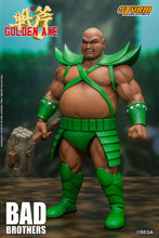 Load image into Gallery viewer, PRE-ORDER 1/12 Scale Storm Toys Bad Brothers