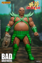 Load image into Gallery viewer, PRE-ORDER 1/12 Scale Storm Toys Bad Brothers