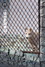 Load image into Gallery viewer, PRE-ORDER 1/12 Scale Iron Wire Protecting Net Platform