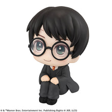 Load image into Gallery viewer, PRE-ORDER Harry Potter Lookup Harry Potter
