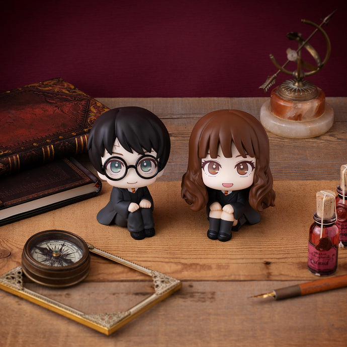 PRE-ORDER Harry Potter & Hermione Granger Lookup Harry Potter with Gift