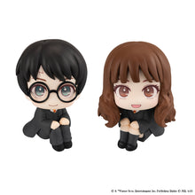Load image into Gallery viewer, PRE-ORDER Harry Potter &amp; Hermione Granger Lookup Harry Potter with Gift
