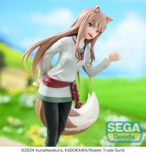 Load image into Gallery viewer, PRE-ORDER Holo Desktop x Decorate Collections Figure Spice and Wolf
