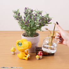 Load image into Gallery viewer, PRE-ORDER Lookup Agumon Digimon Adventure (repeat)
