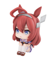 Load image into Gallery viewer, PRE-ORDER Lookup Mihono Bourbon Uma Musume Pretty Derby
