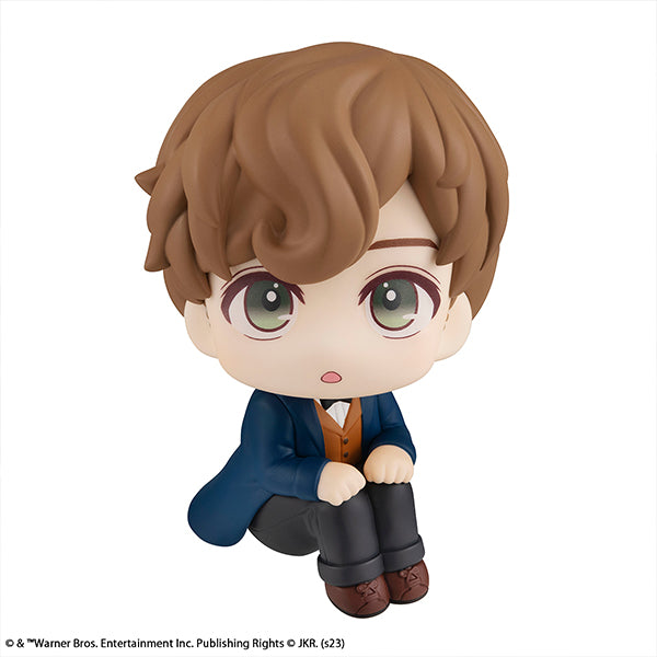 PRE-ORDER Lookup Newt Scamander Fantastic Beasts