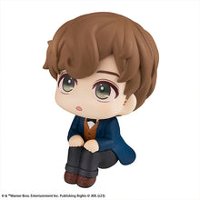 Load image into Gallery viewer, PRE-ORDER Lookup Newt Scamander Fantastic Beasts
