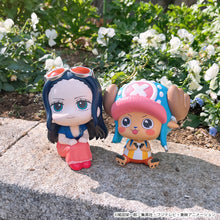 Load image into Gallery viewer, PRE-ORDER Lookup Nico Robin &amp; Tony Tony Chopper Excited Ver. Set (with gift) One Piece
