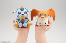 Load image into Gallery viewer, PRE-ORDER Lookup Patamon (repeat) Digimon Adventure
