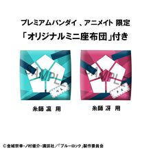 Load image into Gallery viewer, PRE-ORDER Lookup Rin Itoshi &amp; Sae Itoshi  Set (with gift) Blue Lock
