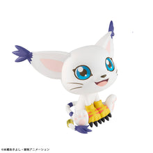 Load image into Gallery viewer, PRE-ORDER Lookup Tailmon (repeat) Digimon Adventure
