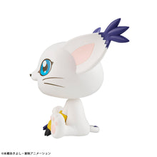 Load image into Gallery viewer, PRE-ORDER Lookup Tailmon (repeat) Digimon Adventure
