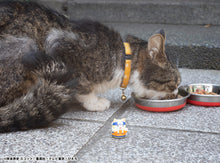 Load image into Gallery viewer, PRE-ORDER MEGA CAT PROJECT Nyaruto! Come here Sasuke-kun (repeat) Naruto Box of 8
