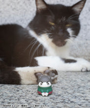 Load image into Gallery viewer, PRE-ORDER MEGA CAT PROJECT Nyaruto! Come here Sasuke-kun (repeat) Naruto Box of 8
